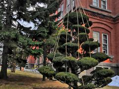 -北海道厅旧本厅舍(旧本庁舎)