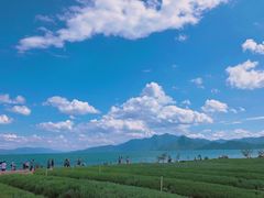 -抚仙湖禄充风景区