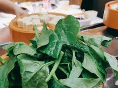 -龍歌自助小火锅(市南金茂湾店)