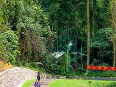 -黄埔油麻山森林公园