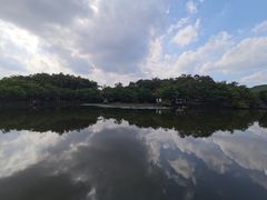 -老木棉·匠园