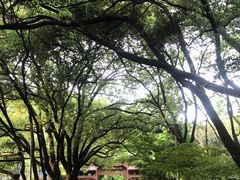 -杭州半山国家森林公园