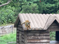 -上海野生动物园