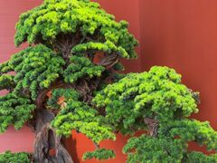 -阿伟海鲜楼·福建菜(延寿店)