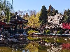 -宣武艺园
