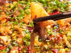 -正宗来凤鱼璧山兔(花卉园店)