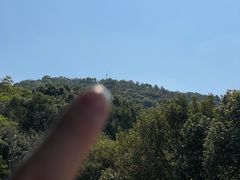 -风云岭森林公园