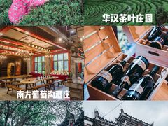 -湖南嵩云山国家森林公园