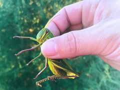 -蟠龙山长城景区