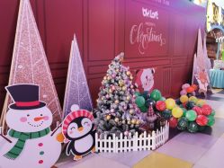 点击看大图 -宝燕乐园(闵行旗舰店)