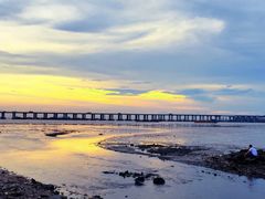 -宝安西湾红树林湿地公园