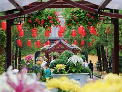 -惠山古镇·寄畅园