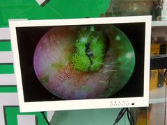 -万达广场(南宁青秀店)