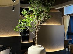 -柴门·头啖汤(天安千树店)