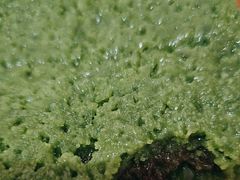 -一品方糕专卖店