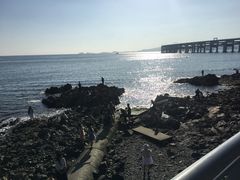 -星海湾跨海大桥