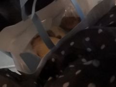 -好利来(朝外店)
