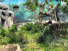 -石排湾郊野公园