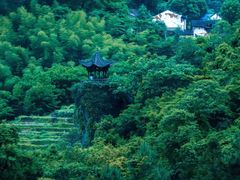 -石台牯牛降景区