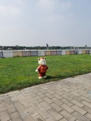 -大美儿童世界(奥林匹克水上公园店)