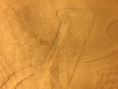 iphone_upload_pic-白玉兰商务酒店(沈阳陆军总院店)