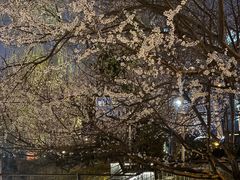 -安定门(地铁站)