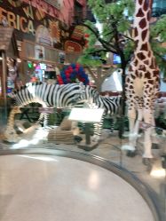 点击看大图 -卡通尼·Safari非洲探索乐园·生日会(金桥国际商业广场店)