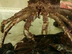 -白金汉爵大酒店(相城店)