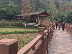 -重庆彩云湖湿地公园
