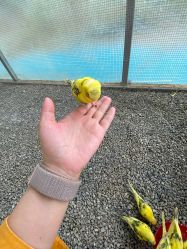 -萌宠亲子动物乐园(槐房万达店)