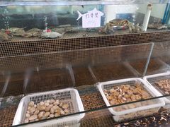 -大金山酒店