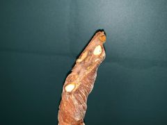 蜂蜜坚果棒-麦陌(正弘城店)