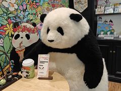 -轩客会(熊猫书店)