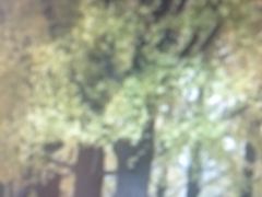 -香山公园-东宫门售票处