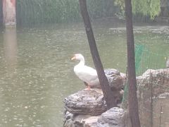 -天毓山庄·餐厅