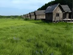 -塞罕坝国家级自然保护区