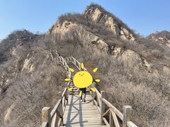 -大岭沟猕猴桃谷风景区