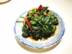 -金谷园饺子馆(北邮总店)