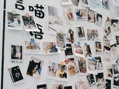 -瑞派·关忠动物医院·猫专科·犬专科(三环新城店)