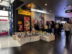 -SFC上影百联影城(八佰伴IMAX店)