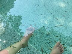 -天赐温泉