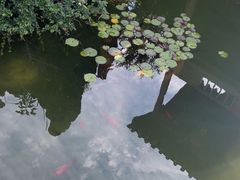 -胡氏古民居建筑