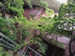 -香港大学