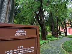 -北京市劳动人民文化宫(太庙)