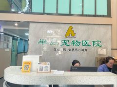 -半岛宠物医院24小时(科华中路店)