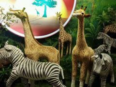 -济州岛泰迪熊博物馆