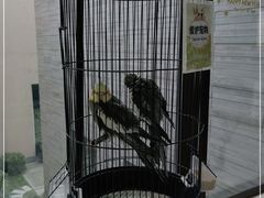 -品悦(崇明凯悦店)