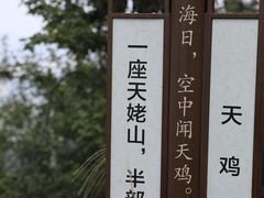 -天姥山景区