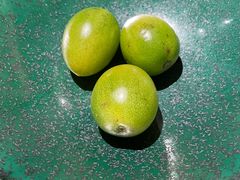 -新荣记(新源南路店)