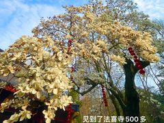 -杭州上天竺法喜讲寺